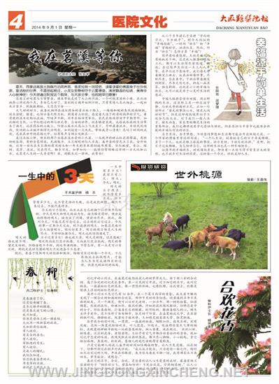 醫院文化版第4版