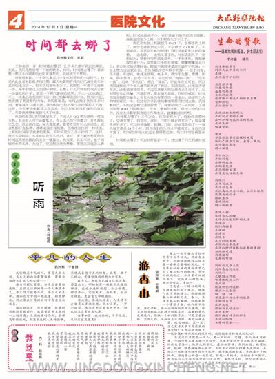 醫院文化版第4版